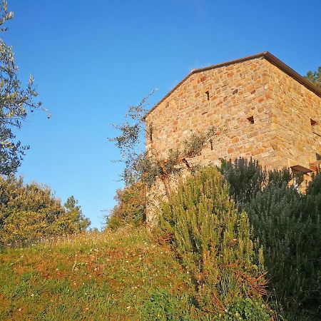 بوناسولا Cottage La Torre Del Pittore المظهر الخارجي الصورة