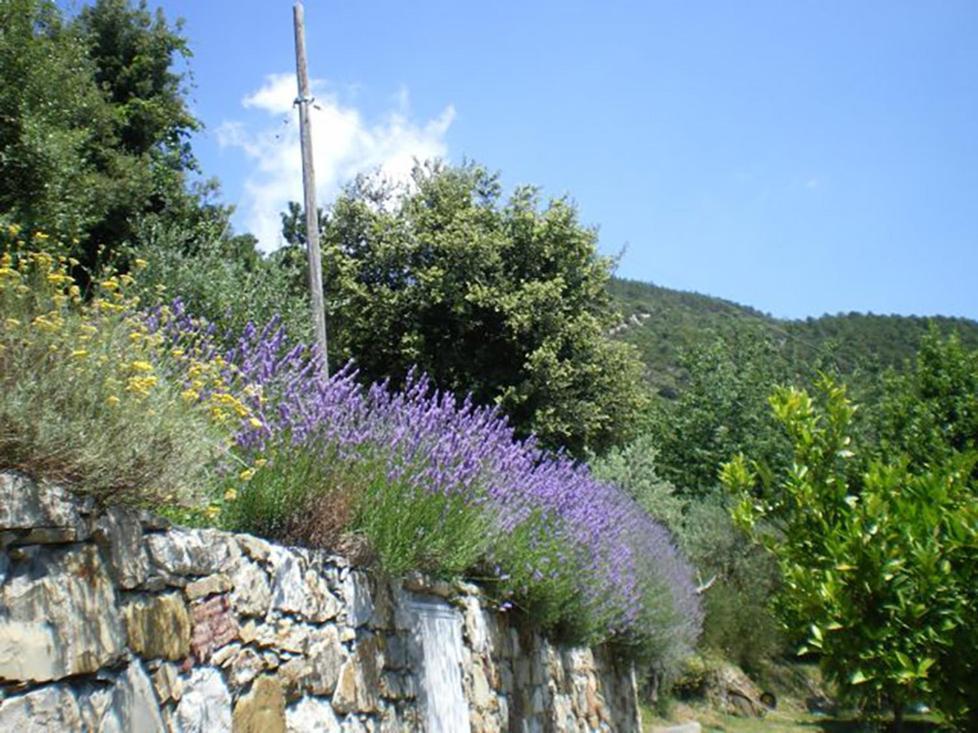 بوناسولا Cottage La Torre Del Pittore المظهر الخارجي الصورة