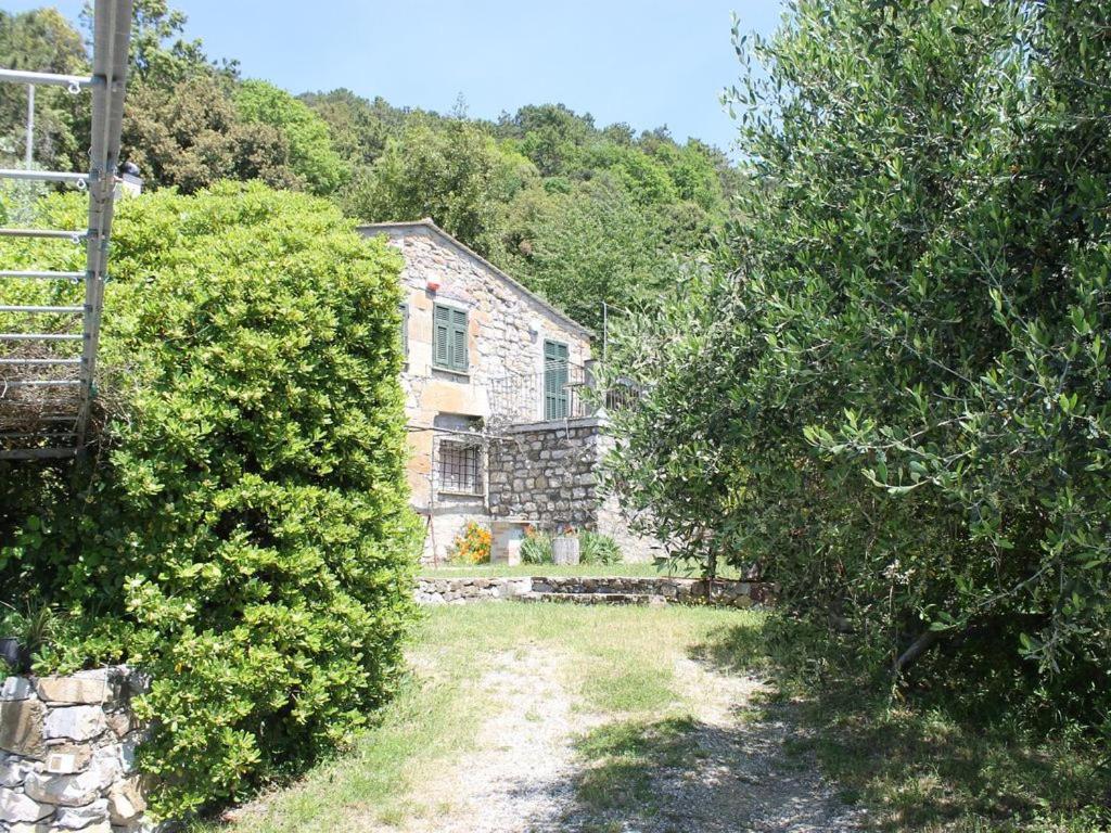 بوناسولا Cottage La Torre Del Pittore المظهر الخارجي الصورة