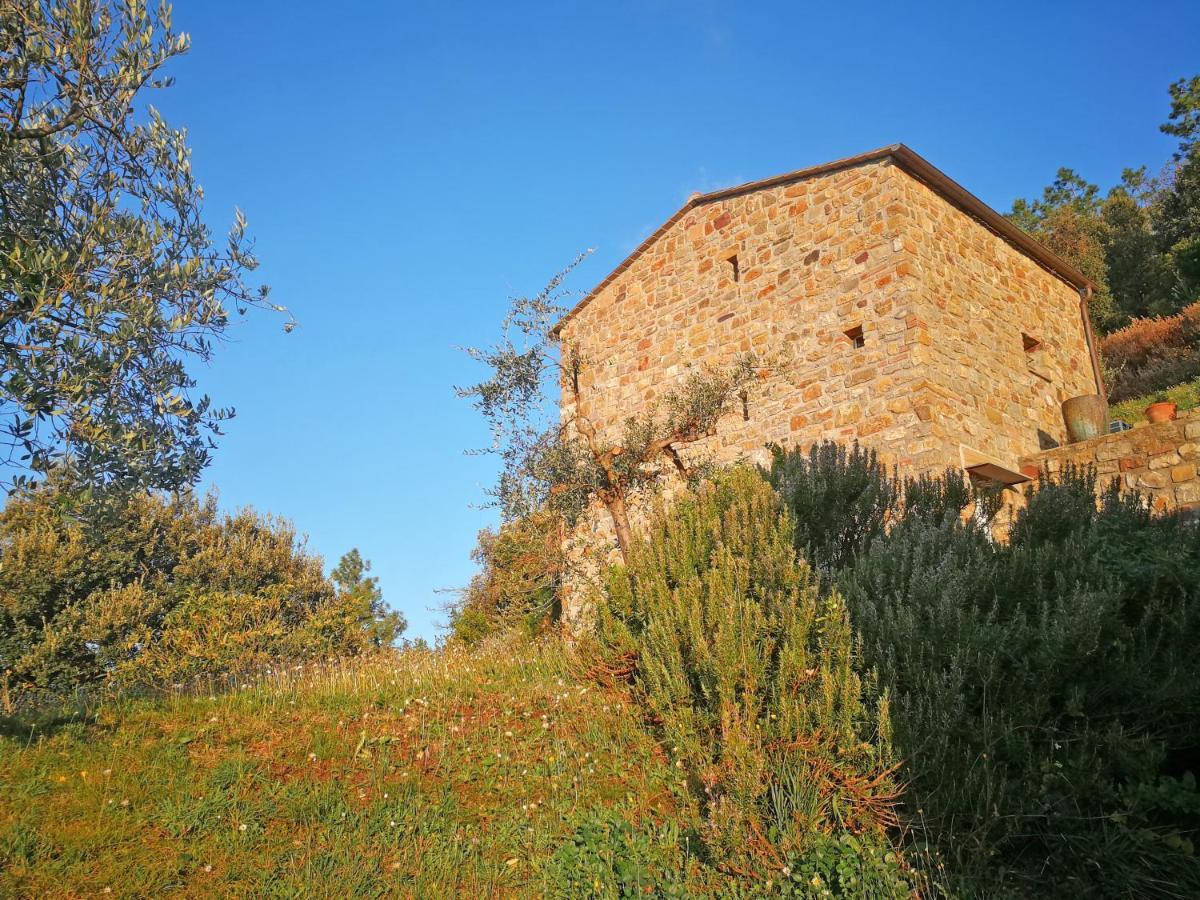 بوناسولا Cottage La Torre Del Pittore المظهر الخارجي الصورة