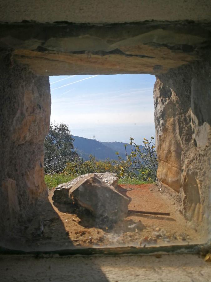 بوناسولا Cottage La Torre Del Pittore المظهر الخارجي الصورة