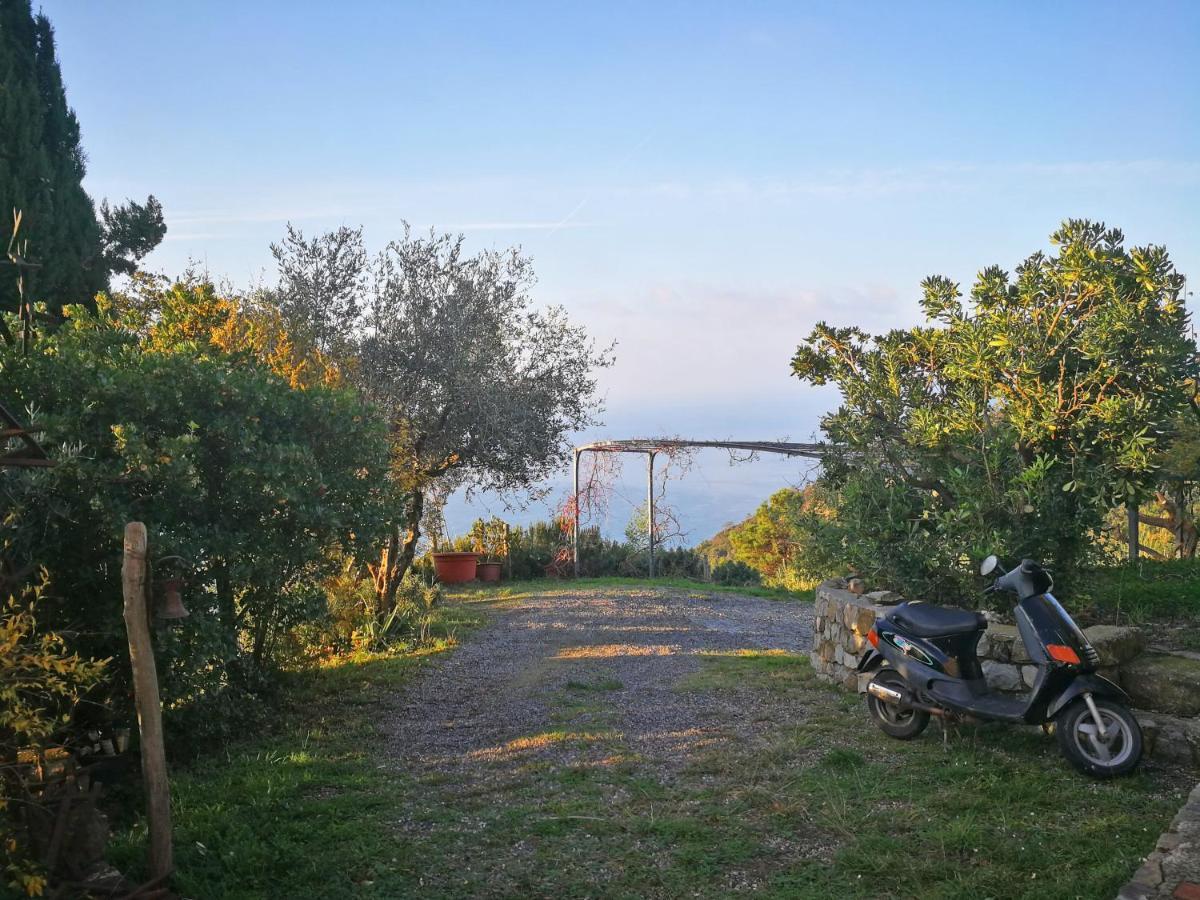 بوناسولا Cottage La Torre Del Pittore المظهر الخارجي الصورة